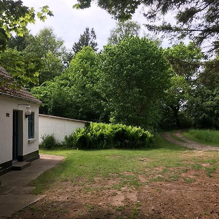 فيلا Skovhuset Uggerby المظهر الخارجي الصورة