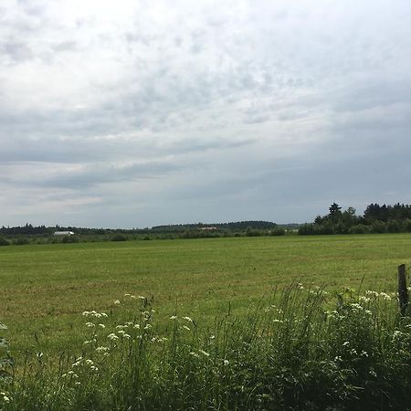 فيلا Skovhuset Uggerby المظهر الخارجي الصورة