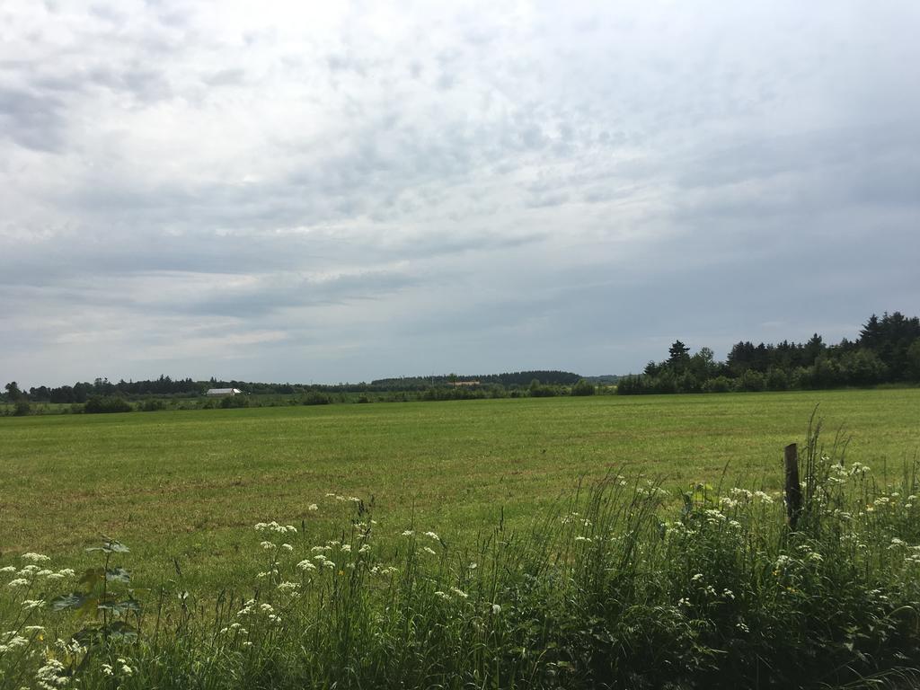 فيلا Skovhuset Uggerby المظهر الخارجي الصورة